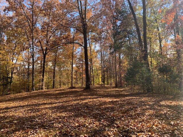 Image for Tatum Creek - LAKE w/ 41 acres & long creek frontage