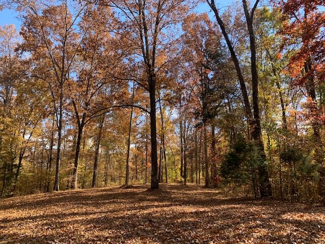 Image for Tatum Creek - LAKE w/ 41 acres & long creek frontage