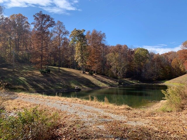 Image for Tatum Creek - LAKE w/ 41 acres & long creek frontage
