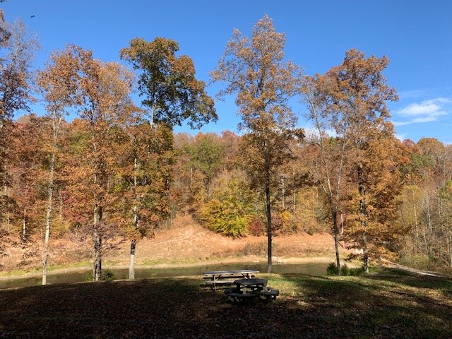 Image for Tatum Creek - LAKE w/ 41 acres & long creek frontage