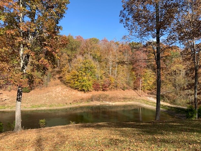 Image for Tatum Creek - LAKE w/ 41 acres & long creek frontage