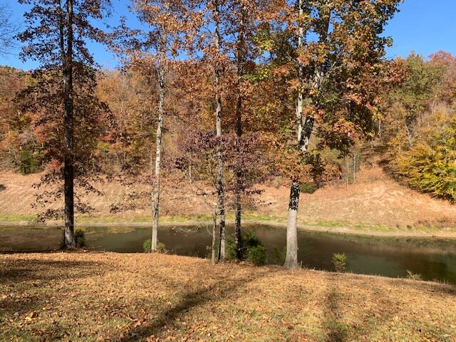 Image for Tatum Creek - LAKE w/ 41 acres & long creek frontage