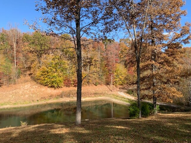 Image for Tatum Creek - LAKE w/ 41 acres & long creek frontage