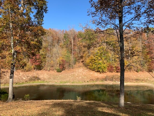 Image for Tatum Creek - LAKE w/ 41 acres & long creek frontage