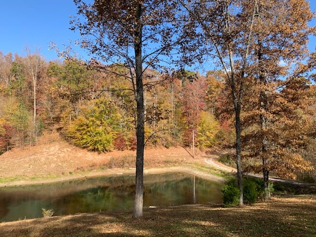 Image for Tatum Creek - LAKE w/ 41 acres & long creek frontage