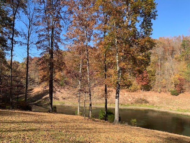 Image for Tatum Creek - LAKE w/ 41 acres & long creek frontage