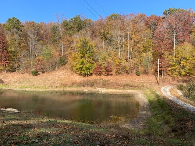 Image for Tatum Creek - LAKE w/ 41 acres & long creek frontage