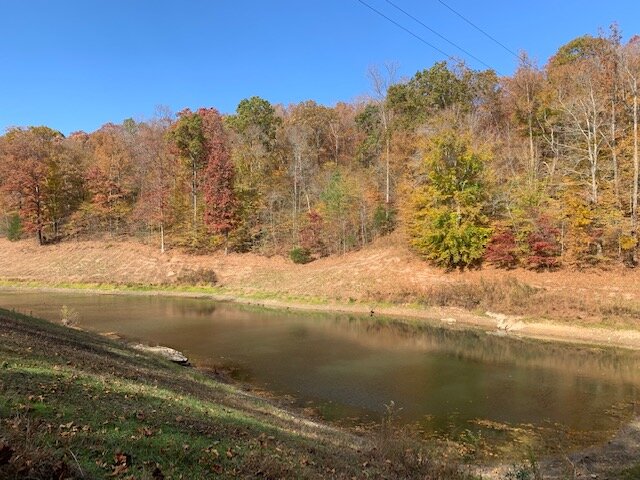 Image for Tatum Creek - LAKE w/ 41 acres & long creek frontage