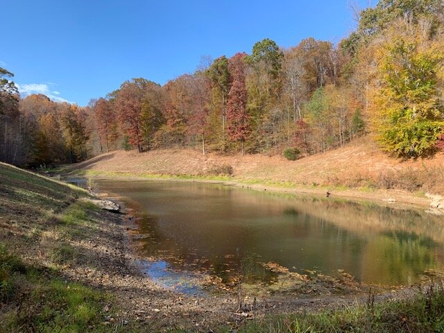 Image for Tatum Creek - LAKE w/ 41 acres & long creek frontage