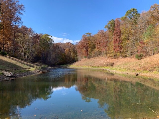 Image for Tatum Creek - LAKE w/ 41 acres & long creek frontage