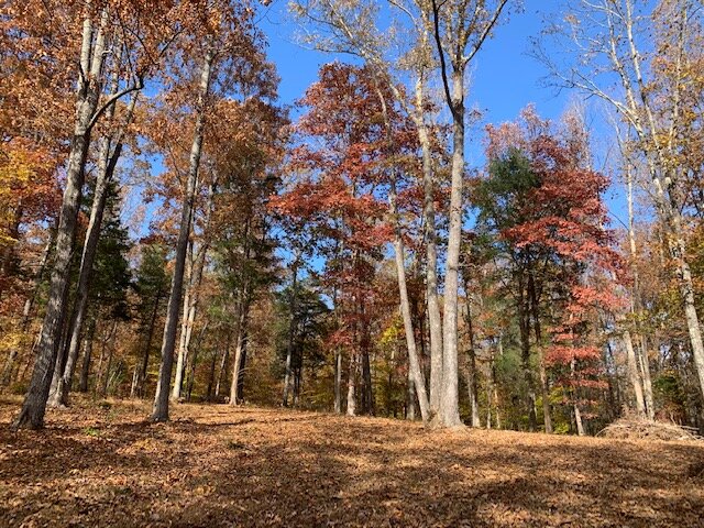 Image for Tatum Creek - LAKE w/ 41 acres & long creek frontage