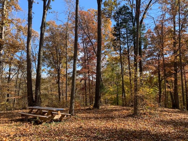 Image for Tatum Creek - LAKE w/ 41 acres & long creek frontage