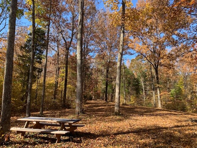 Image for Tatum Creek - LAKE w/ 41 acres & long creek frontage