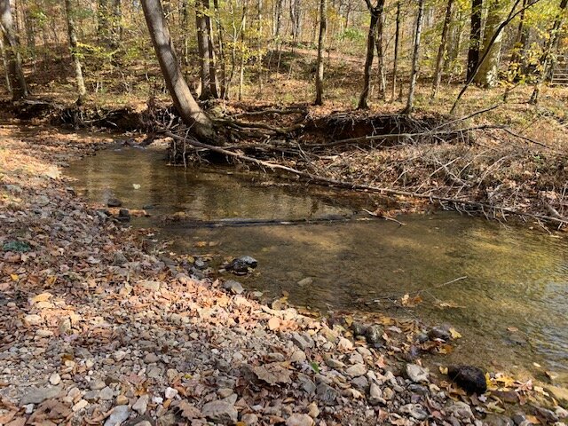 Image for Tatum Creek - LAKE w/ 41 acres & long creek frontage