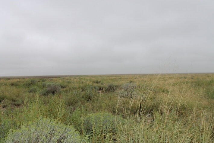 Image for KIOWA COUNTY, COLORADO - NATIVE GRASSLAND (C4071)