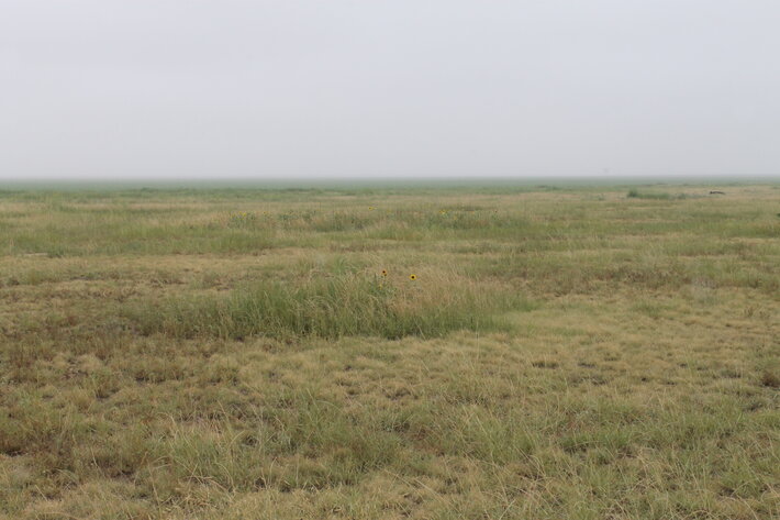 Image for KIOWA COUNTY, COLORADO - NATIVE GRASSLAND (C4071)