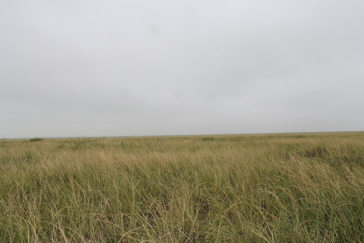 Image for KIOWA COUNTY, COLORADO - NATIVE GRASSLAND (C4071)