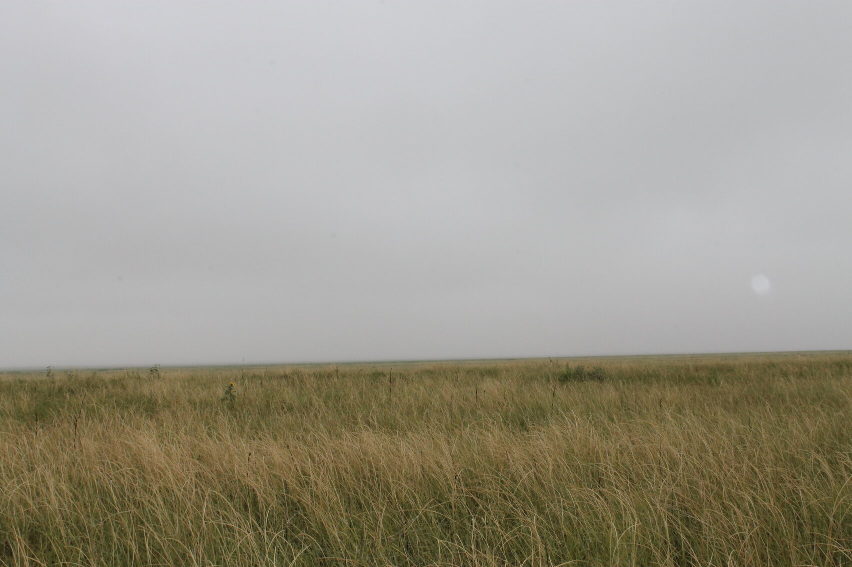Image for KIOWA COUNTY, COLORADO - NATIVE GRASSLAND (C4071)