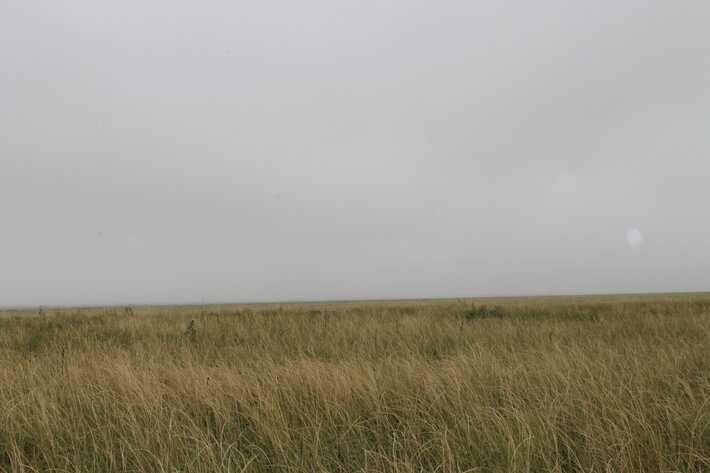 Image for KIOWA COUNTY, COLORADO - NATIVE GRASSLAND (C4071)