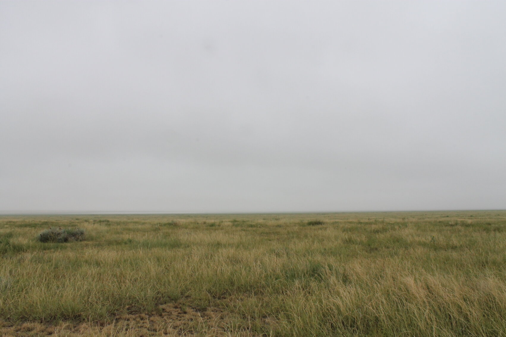 Image for KIOWA COUNTY, COLORADO - NATIVE GRASSLAND (C4071)