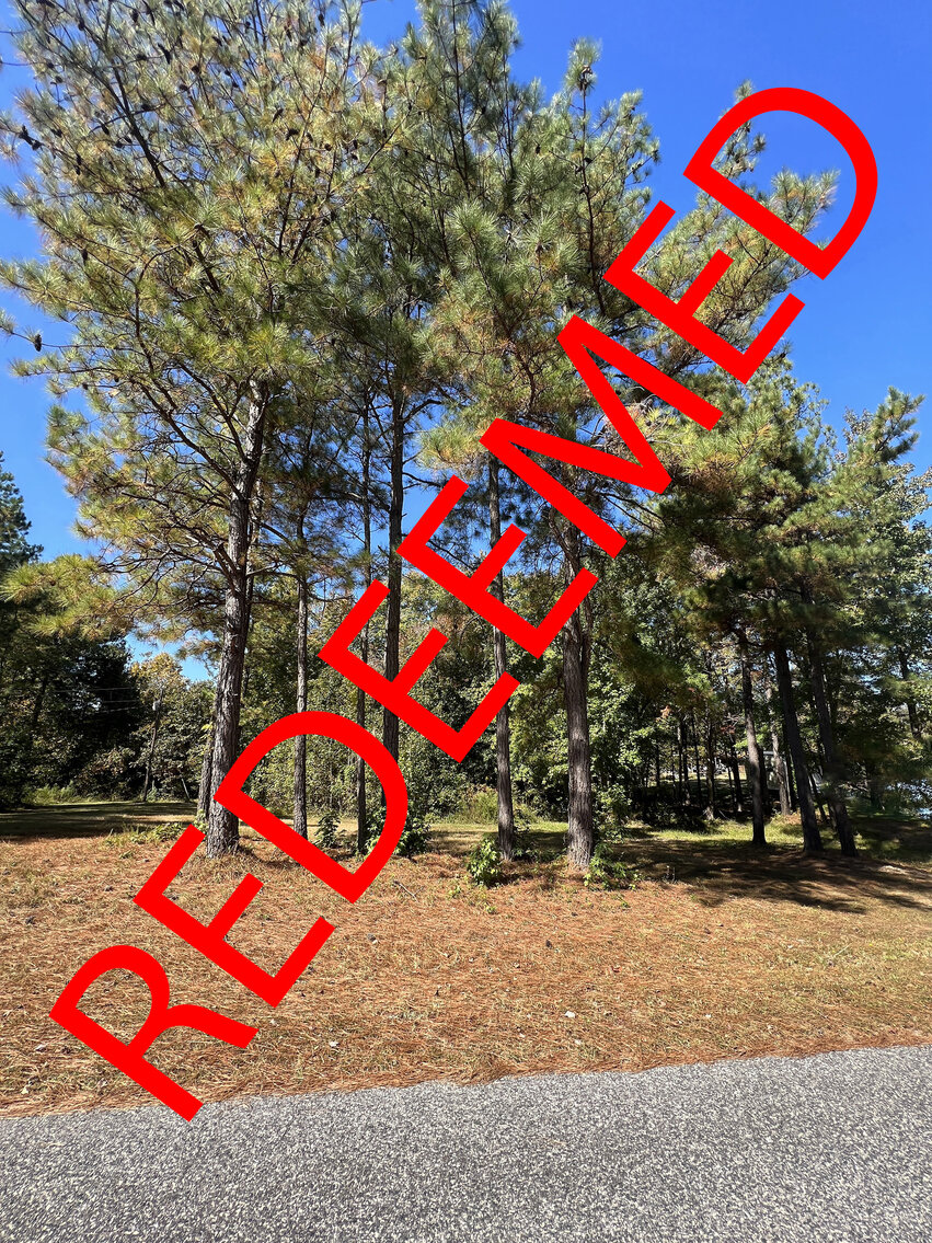Image for Amelia County, VA Sale of Tax Delinquent Real Estate
