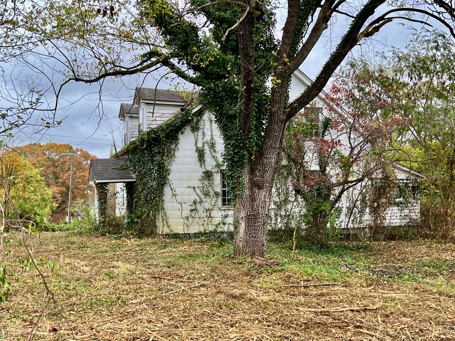 Image for 15.5 +/- Acres w/Business Zoning & 800' +/- Frontage on Rt. 29 in Madison County, VA