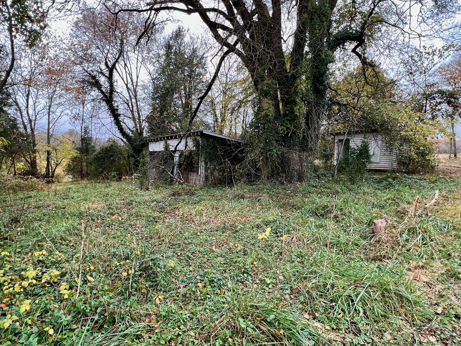 Image for 15.5 +/- Acres w/Business Zoning & 800' +/- Frontage on Rt. 29 in Madison County, VA