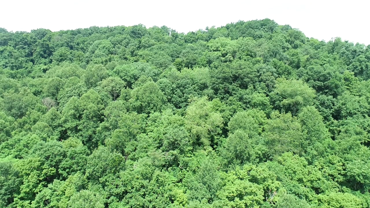 Image for SOLD $19,525 - 15 Acres Selling to the Highest Bidder