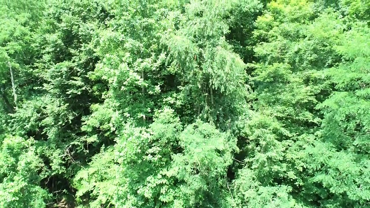 Image for SOLD $19,525 - 15 Acres Selling to the Highest Bidder