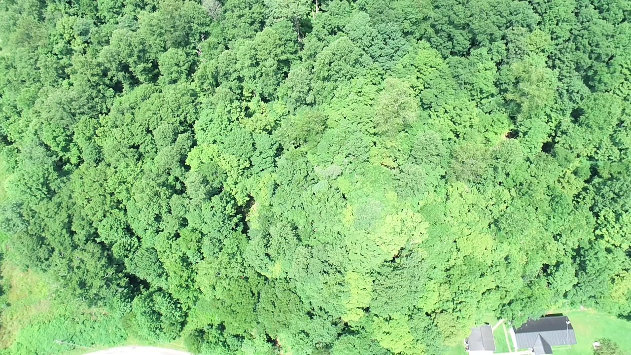 Image for SOLD $19,525 - 15 Acres Selling to the Highest Bidder