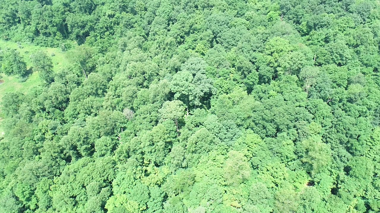 Image for SOLD $19,525 - 15 Acres Selling to the Highest Bidder