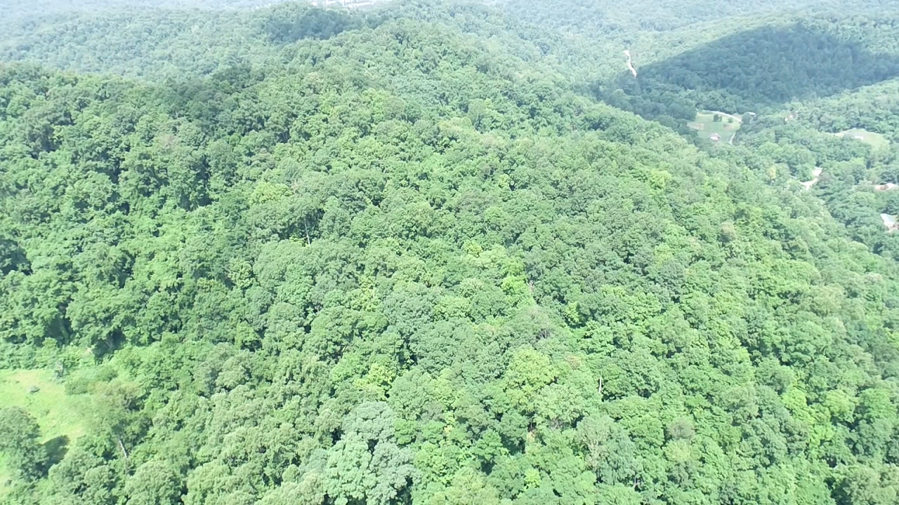 Image for SOLD $19,525 - 15 Acres Selling to the Highest Bidder