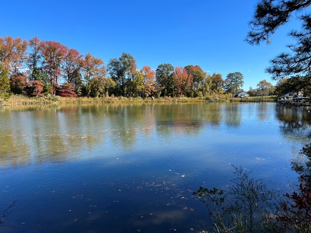 Image for To Settle the Estate of Maureen S. Barnes