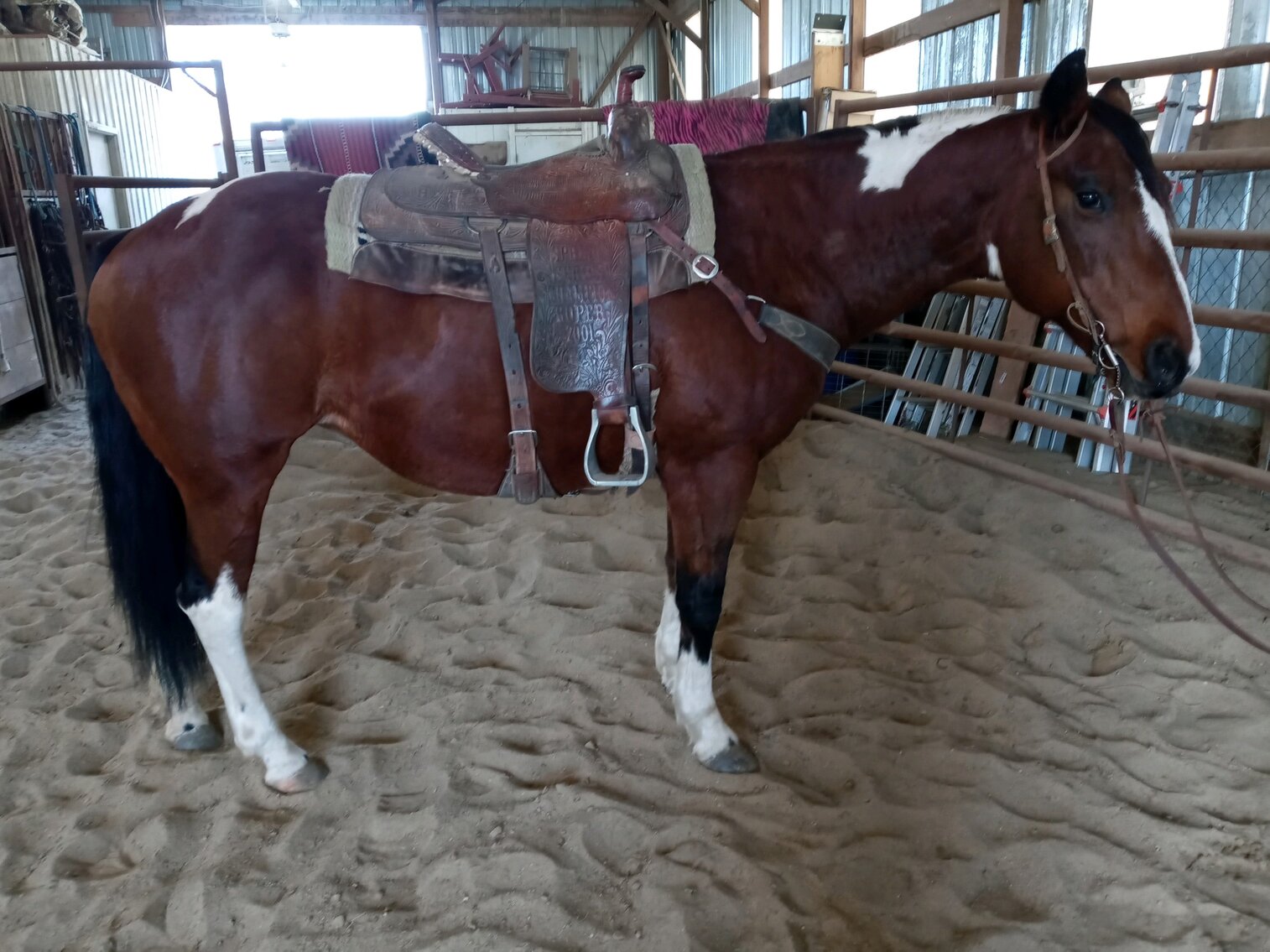 Jones Livestock Auction Fall Special Sale October 30th Jones, Oklahoma