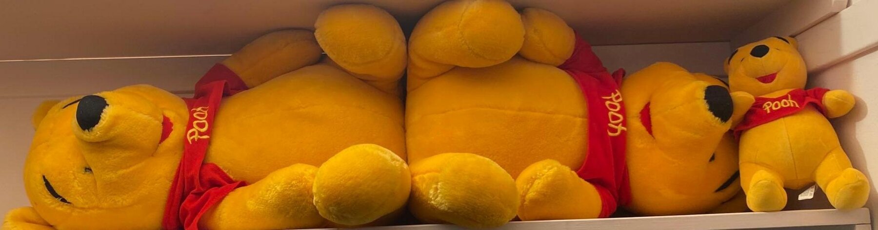 Image for Hot Rod Car Show Memorabilia, Toys, Trains, Die Casts, Furniture, Tools (Fredelia)