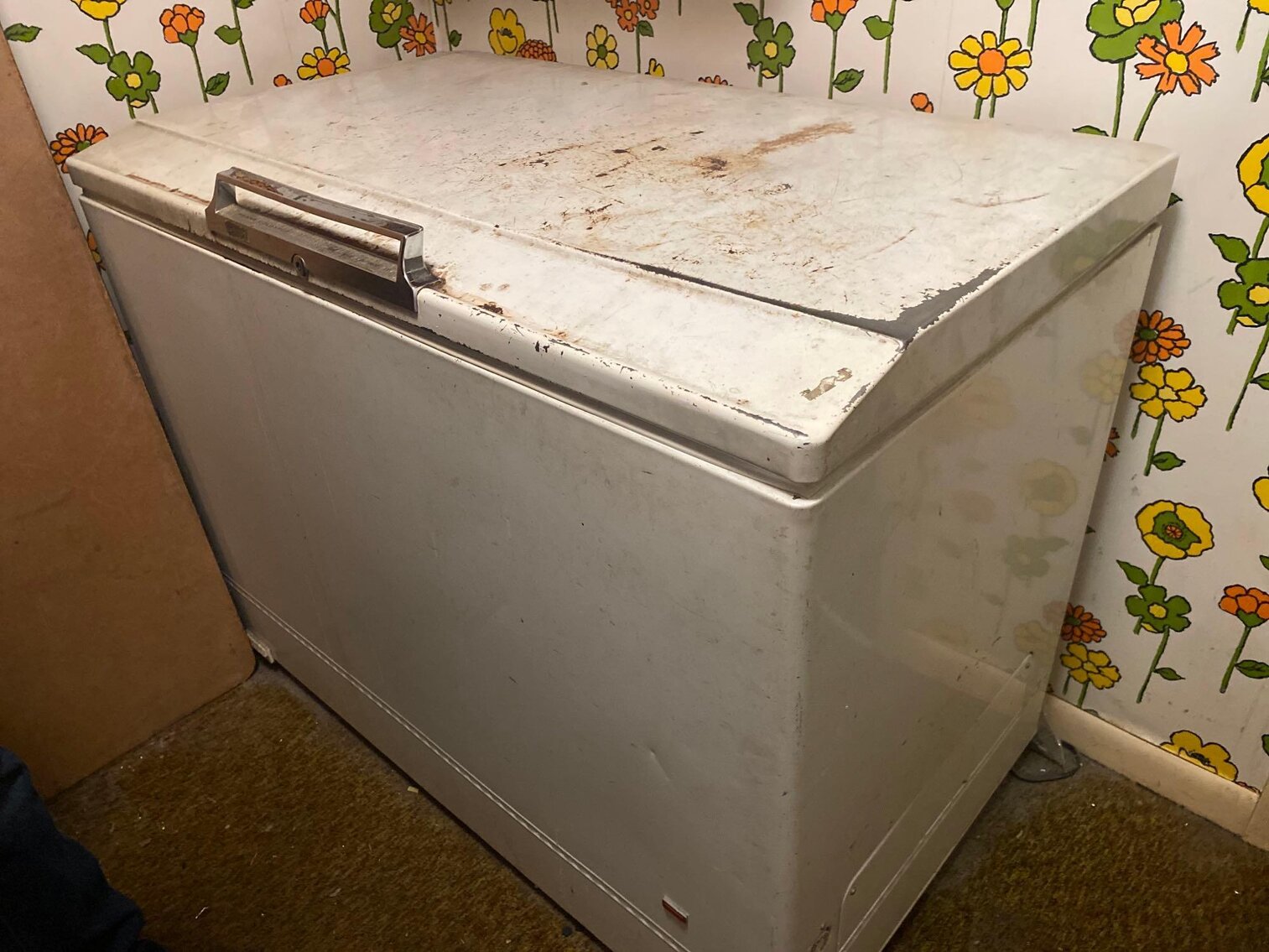 Image for Hot Rod Car Show Memorabilia, Toys, Trains, Die Casts, Furniture, Tools (Fredelia)