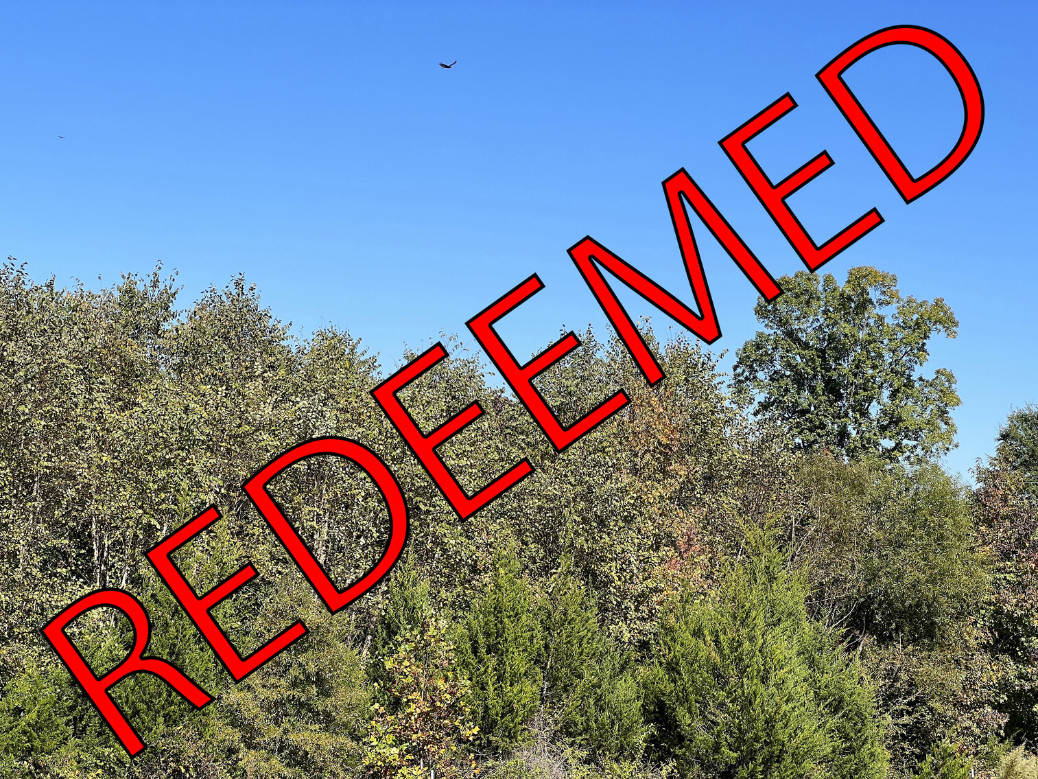 Image for Amelia County, VA Sale of Tax Delinquent Real Estate