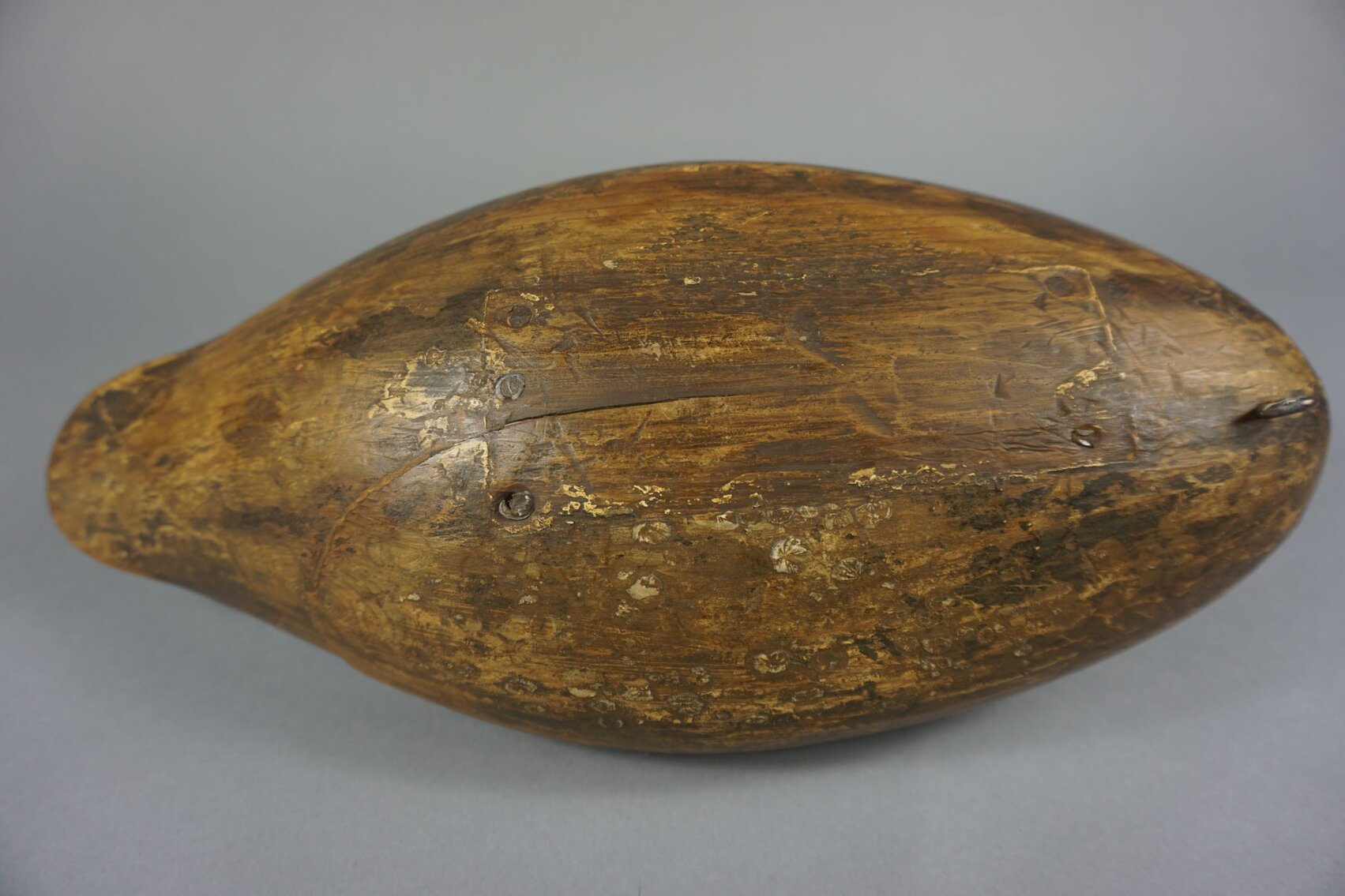 Image for November Online Sportsman's Auction 2022