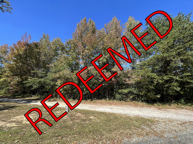 Image for Amelia County, VA Sale of Tax Delinquent Real Estate