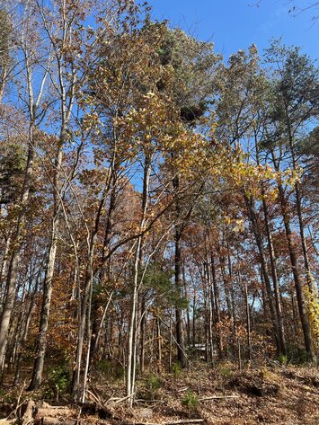 Image for Powhatan County, VA Sale of Tax Delinquent Real Estate