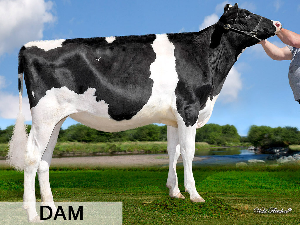 F. Luster-P x Duckett Parfect Hadley