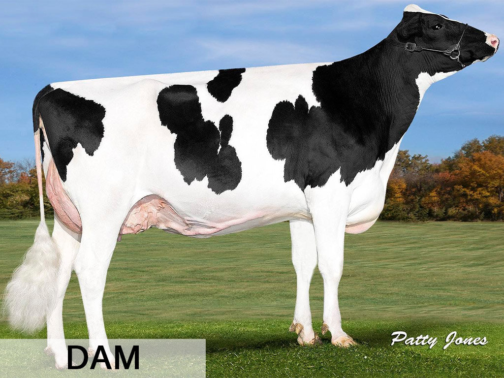 F. Delta-Lambda x Woodcrest McCutchen Bobbie