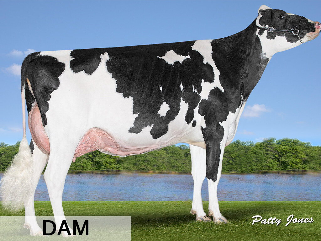 F. Delta-Lambda x Kingsway Doorman Jet