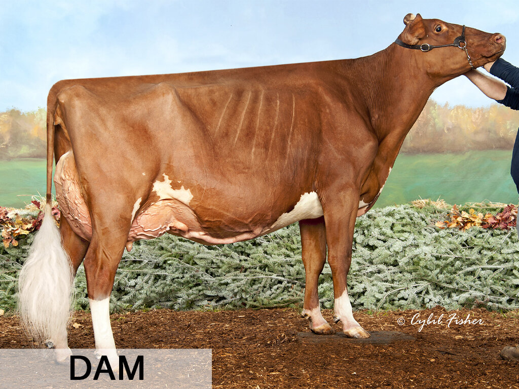 F. Max-PP x Oakfield A Shampagne