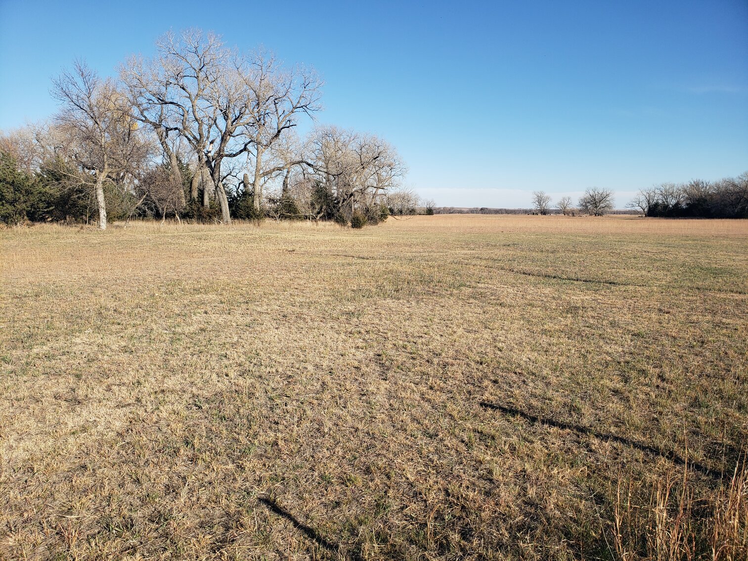 65.82+/ Acres in Holt County, NE