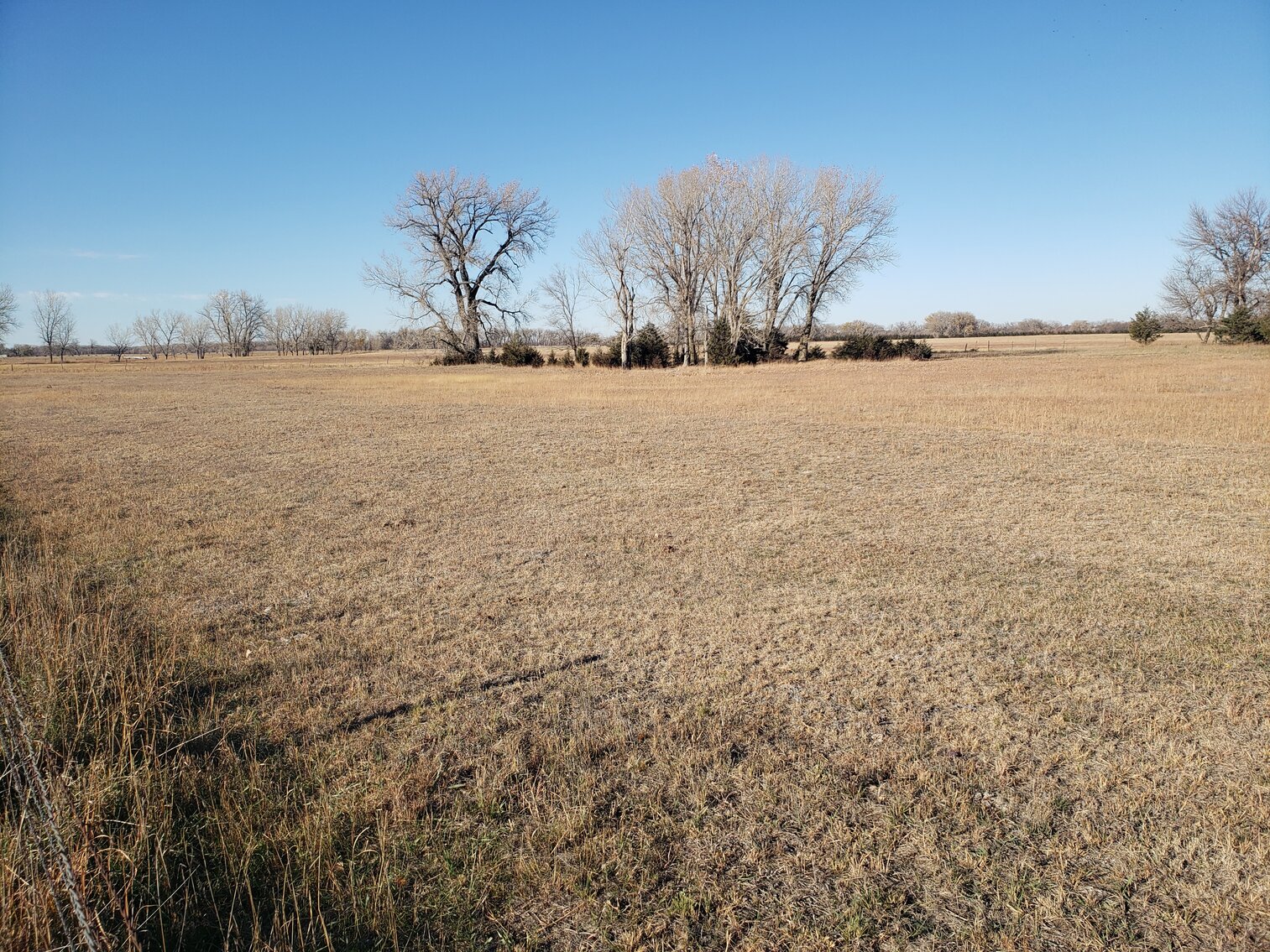 65.82+/ Acres in Holt County, NE