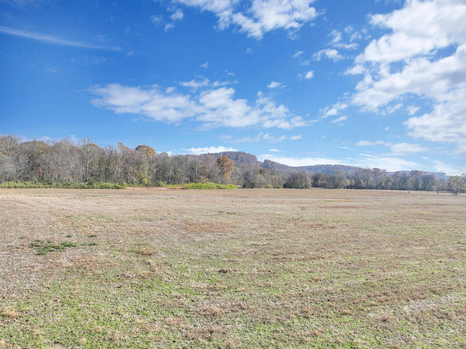 Image for Swan Creek 21 Acres