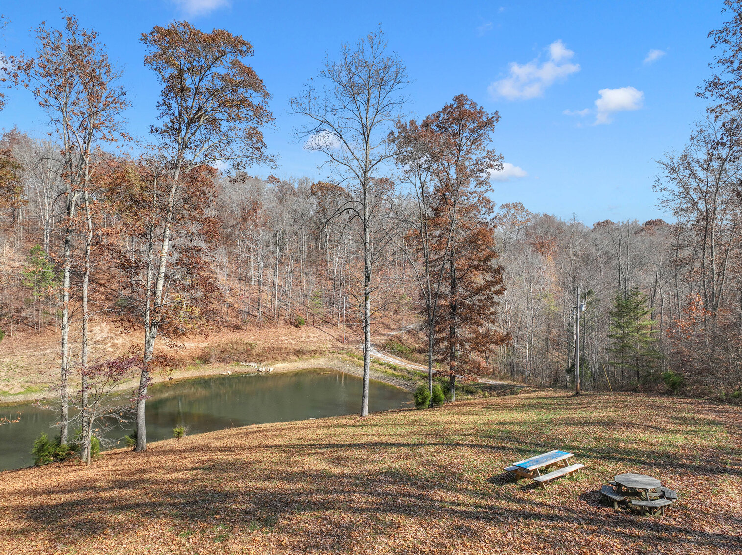 Image for Tatum Creek - LAKE w/ 41 acres & long creek frontage