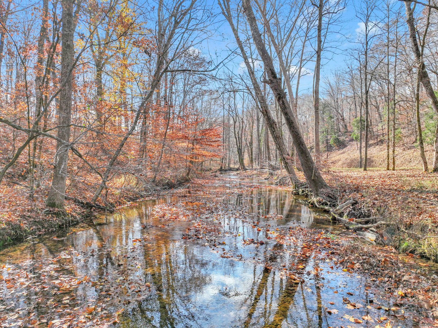 Image for Tatum Creek - LAKE w/ 41 acres & long creek frontage