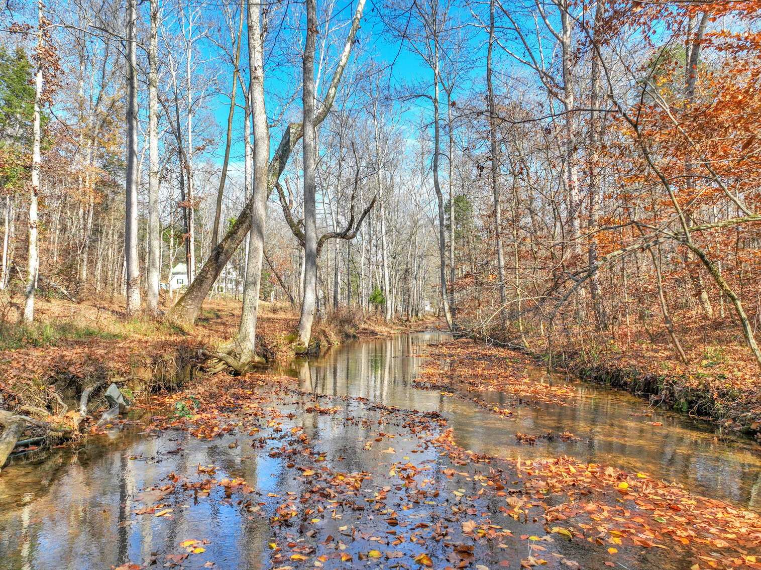 Image for Tatum Creek - LAKE w/ 41 acres & long creek frontage